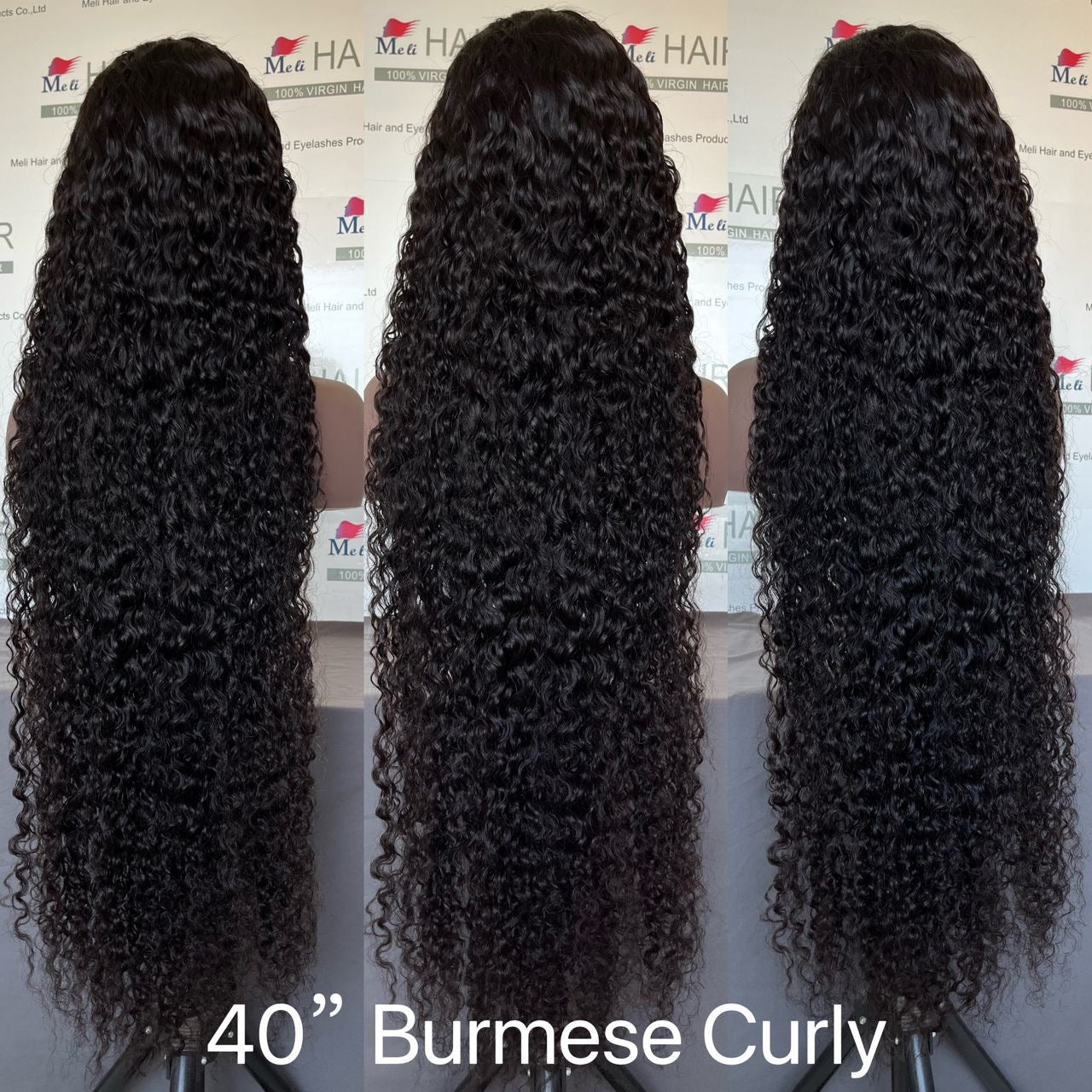 Burmese curly